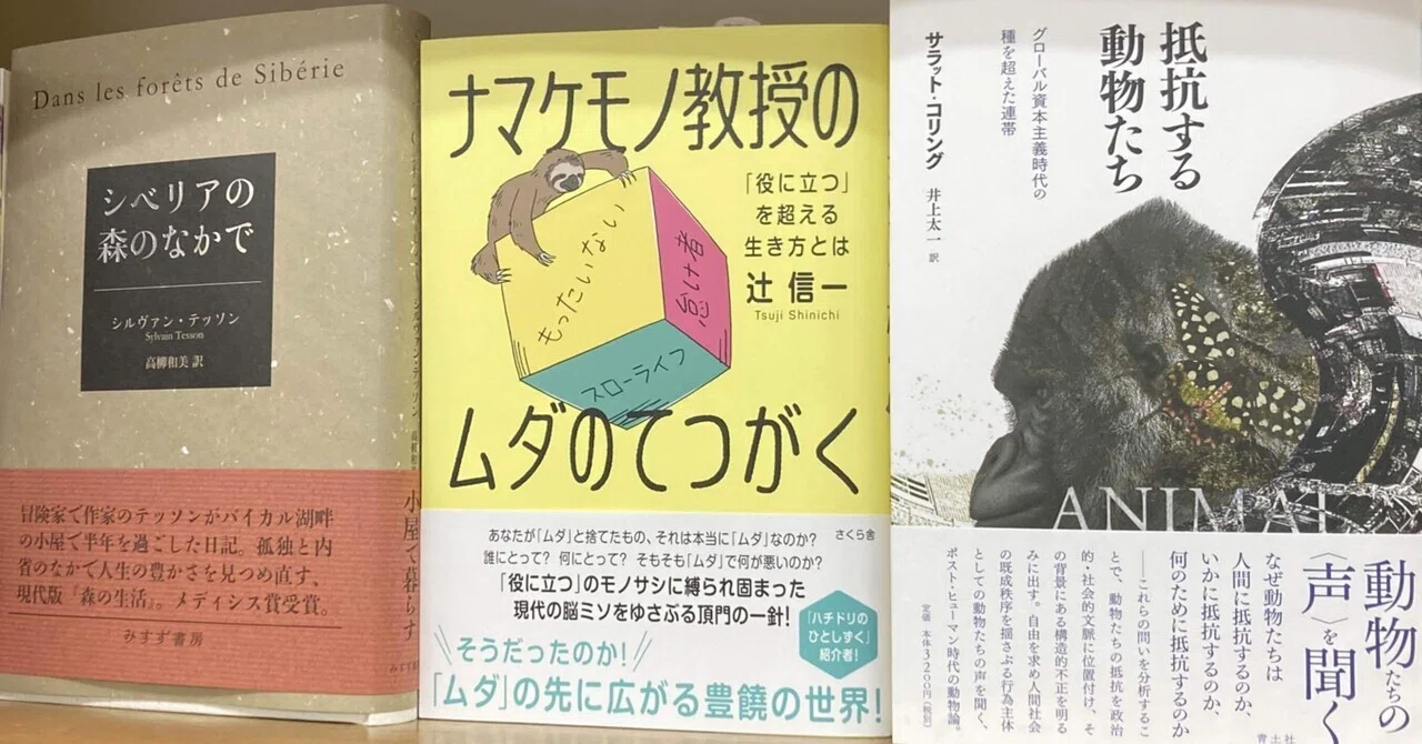 ナマケモノという名の賢者｜Hunter Mikio