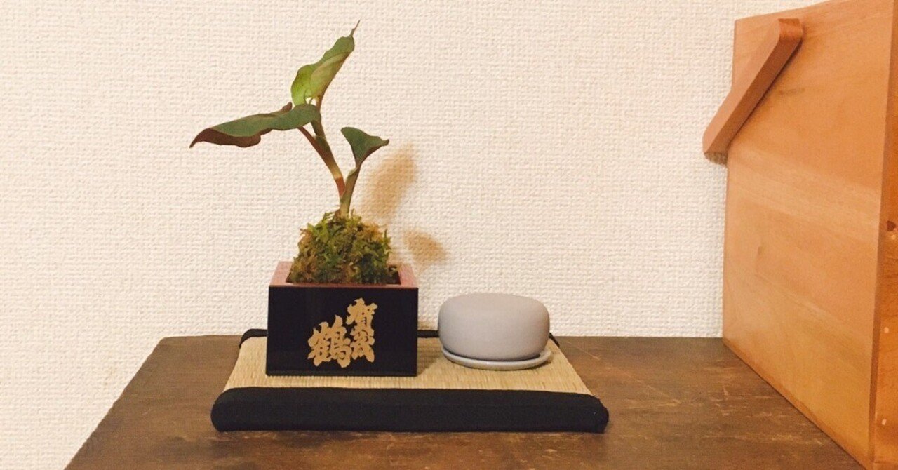 万年青　賀茂鶴 賀茂鶴の酒蔵見学レポ&苔玉の話｜さとう もぐも（mogumo sato）