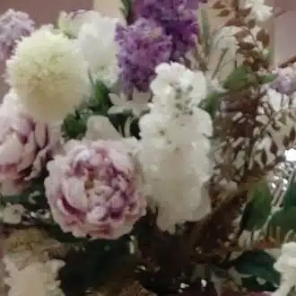 こみこみこ