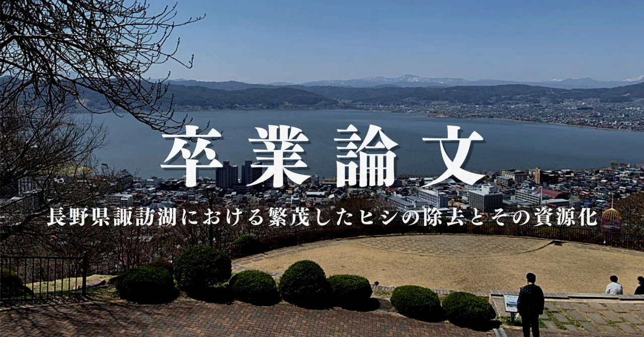 卒業論文】長野県諏訪湖における繁茂したヒシの除去とその資源化｜鎌倉