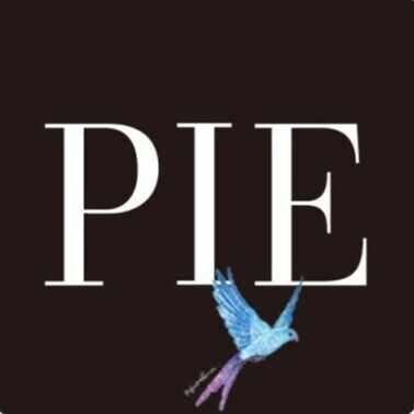 パイ インターナショナル