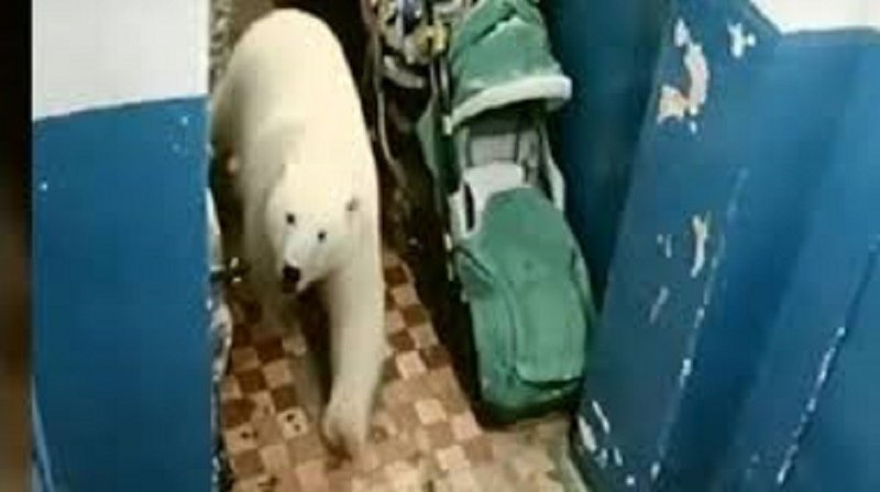 北海道に住んでるやつに聞いた話 がちお Note 北海道に住んでるやつに聞いた話 がちお Note