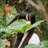 城下 沙緒里