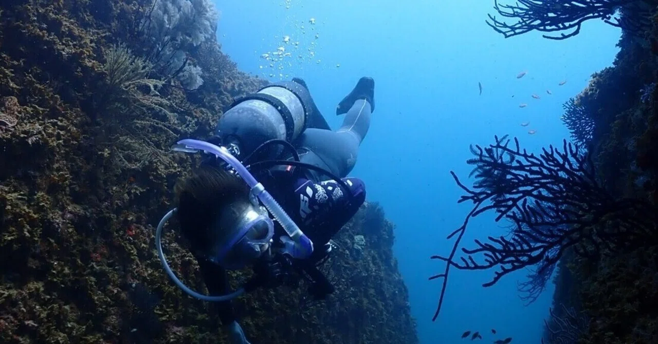 海の中にポスト！？大切なあの人に。海からのメッセージ。｜RK Diving