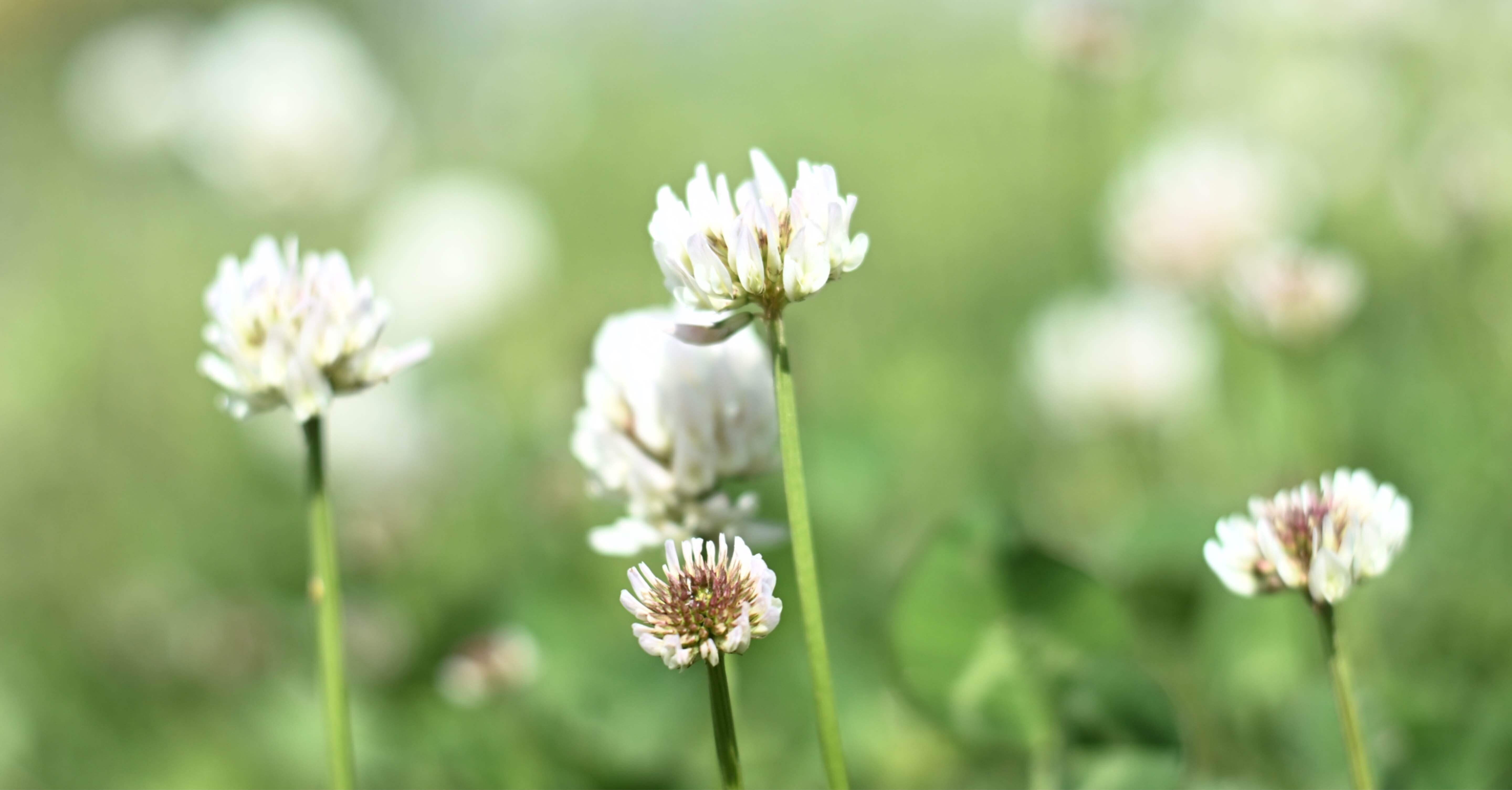 26b188a593a539c86b4e9e2b56184d