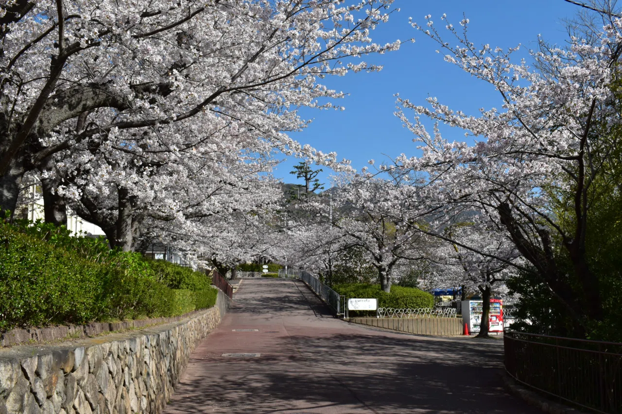 写真:神戸市灘区|ららこーら