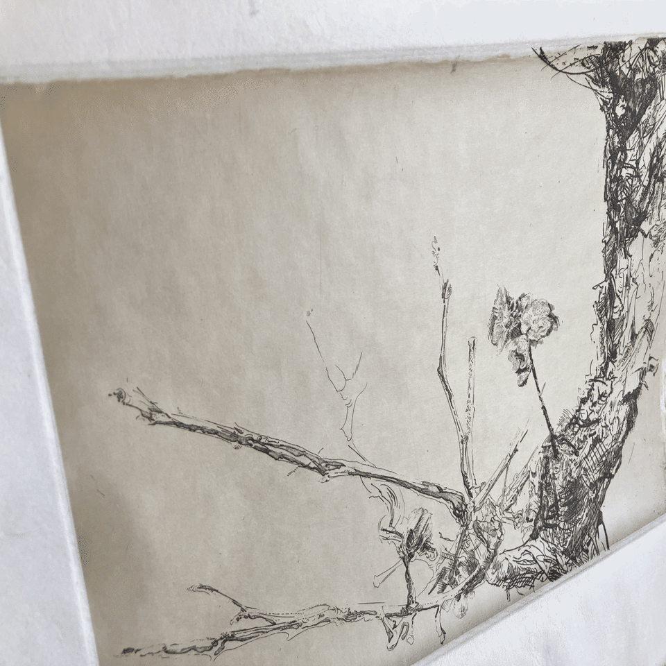 梅の木をエッチングで描く。drawとpaintの違い。｜齋藤悠紀