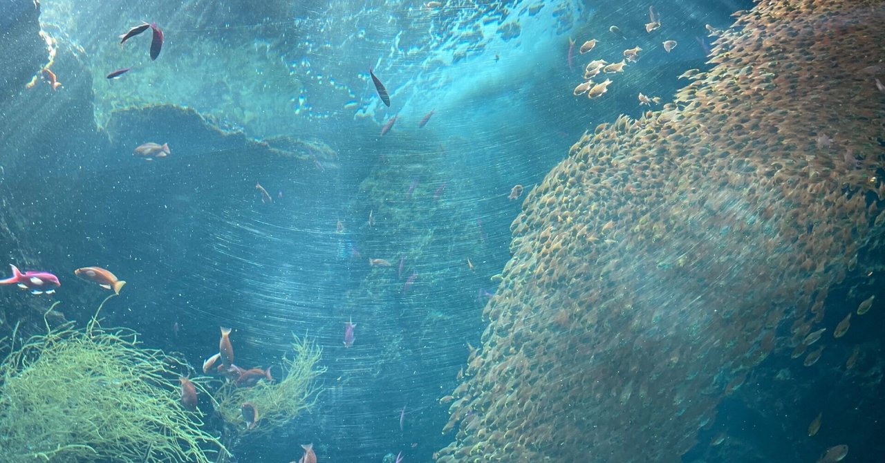 絶対に見逃せない！東北最大の『アクアマリンふくしま』水族館