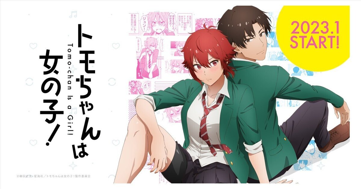 トモちゃん☆専用 トモちゃんは女の子！／DVD／6巻（完全生産限定版） |