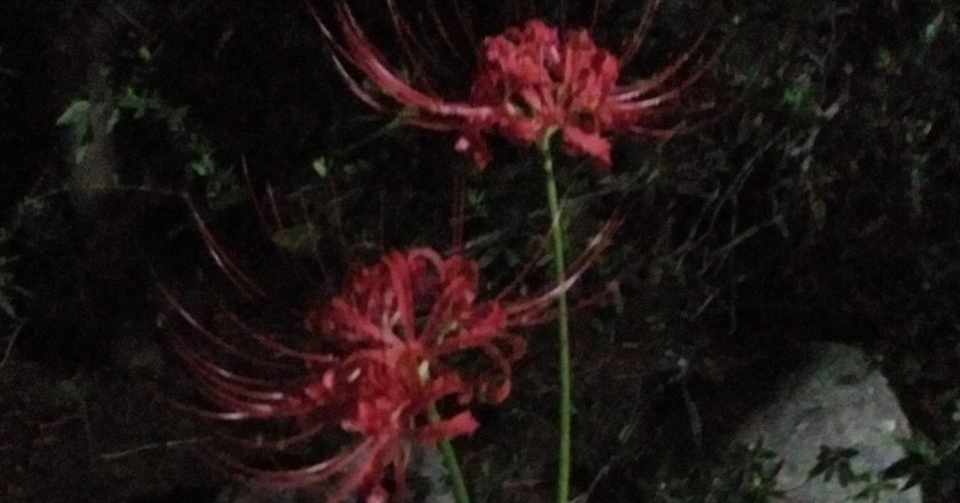 親 が 死ん だら する こと