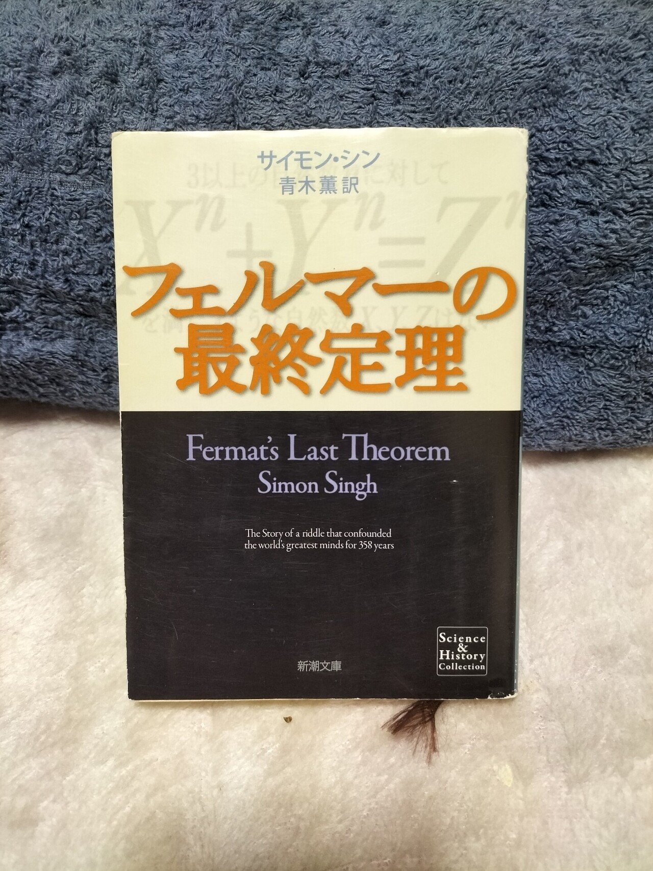 【フェルマーの最終定理】 証明するのに350年以上掛かった超難問😣 解くためには【無限の事象→有限の事象】 決め手になった2つの数論【谷山