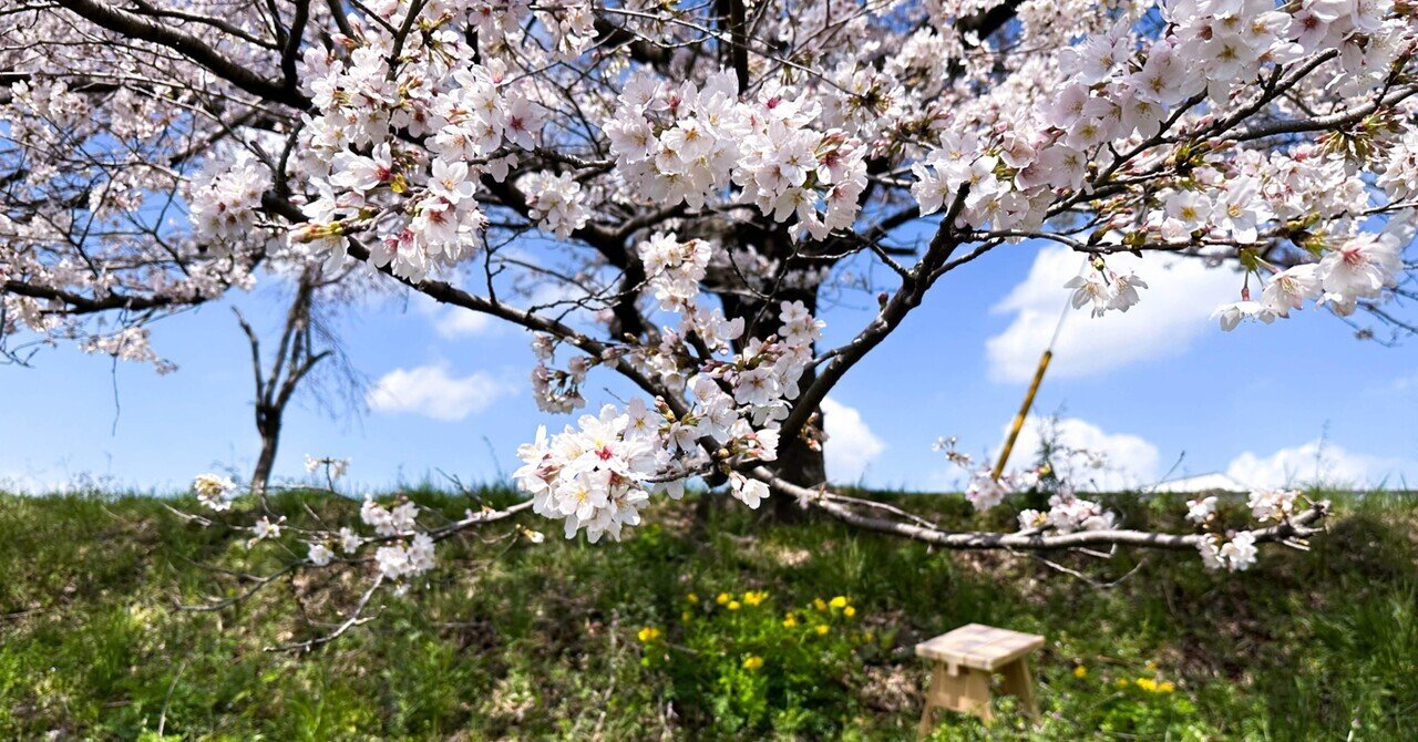 あつ&さま専用（原画）夜更けの桜が咲く頃 ほか　4点おまとめ 桜、って良いよね｜倉嶋 洋介