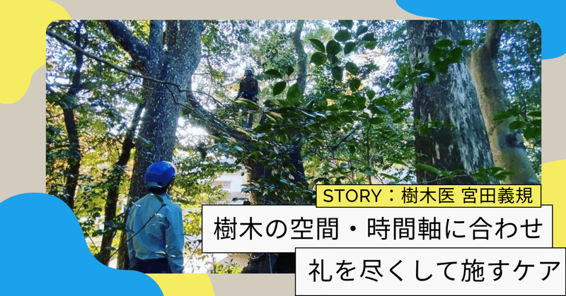 樹木の空間・時間軸に合わせ礼を尽くして施すケア｜インタビュー: 樹木医 宮田義規さん