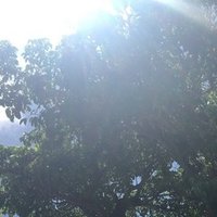 魂の親神様が降りてくる アリアーンタ公式ブログ ヒカリの船 Note