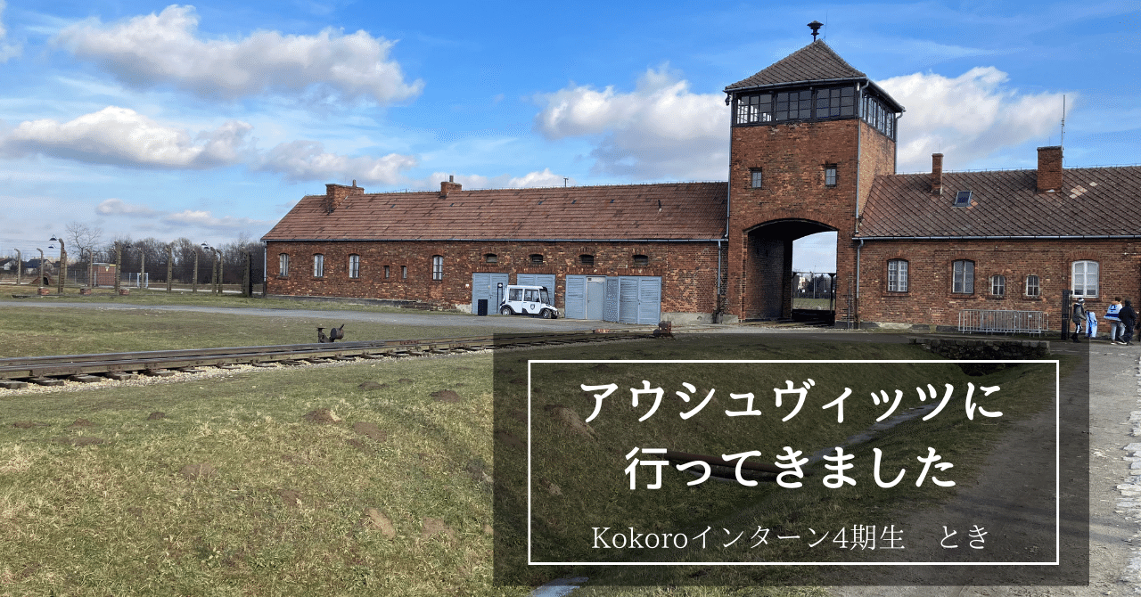 アウシュヴィッツ博物館案内 新訂増補版(谷中剛) / 古本、中古本