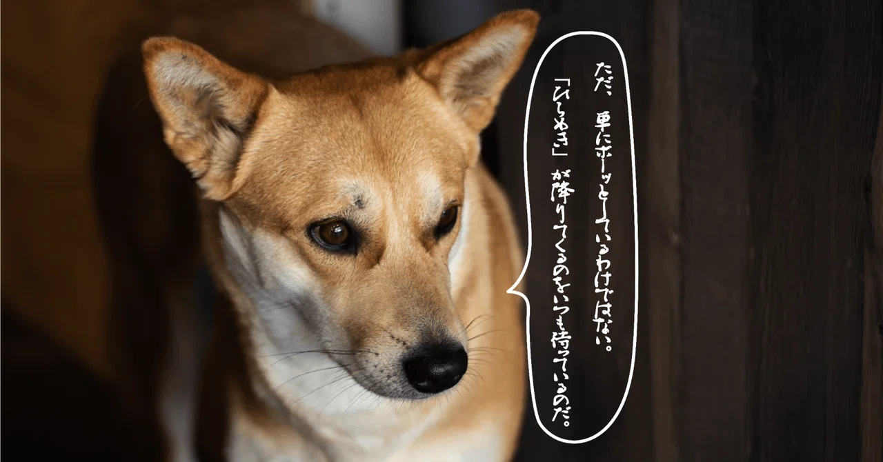 Fuhi FUHI.はいつも何を考えているの?|FUHI.|note