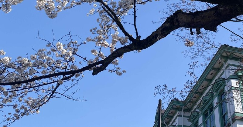金沢桜十景