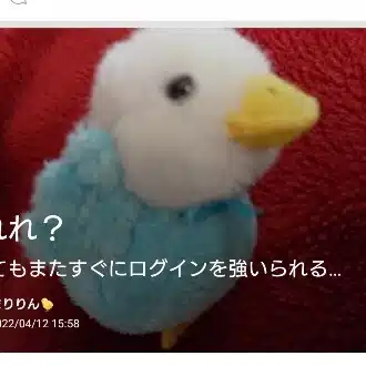 まりりん🐤