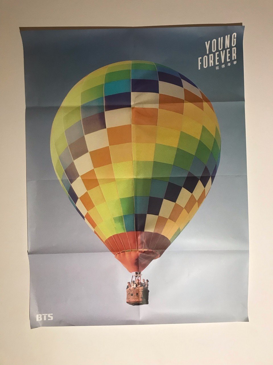 ポスターの話 ピロココのタデクウムシinイタリア Note ポスターの話 ピロココのタデクウムシinイタリア Note