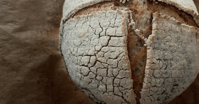 初めてのサワードゥで作ったカンパーニュがパン屋さんでいつも探す味に近かった日♩