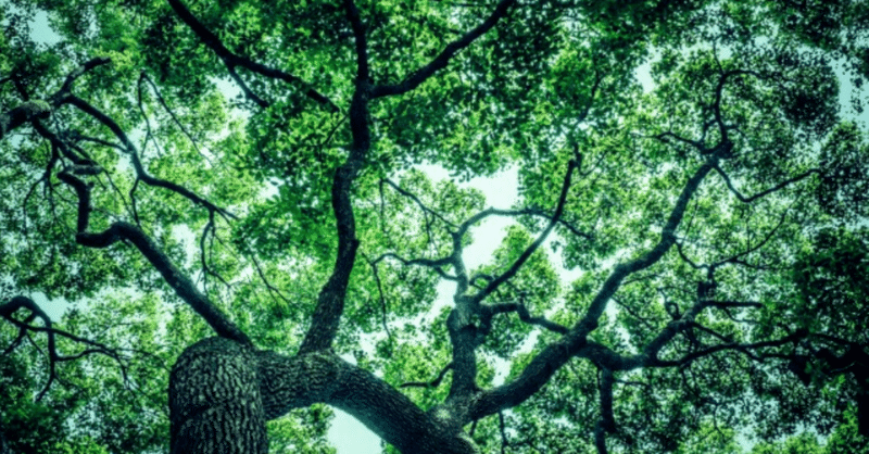 人の話を聴く練習をするワークショップに参加した感想 むにえ note