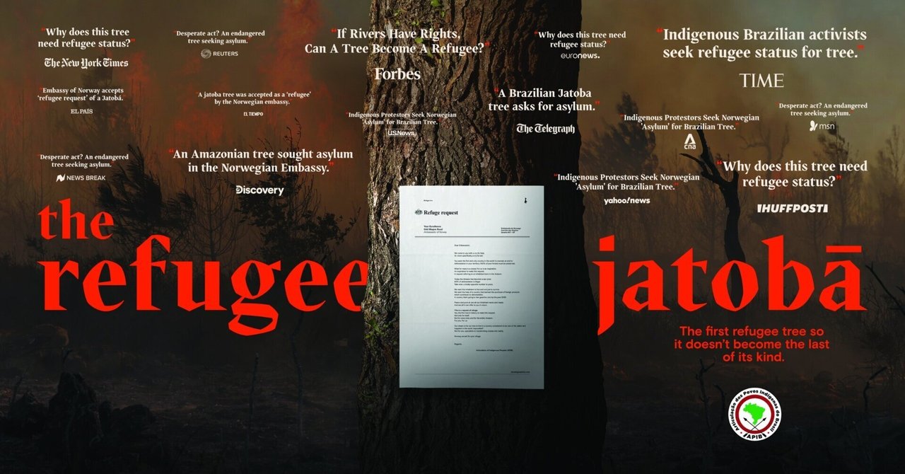 The Refugee Jatoba|がーわっち