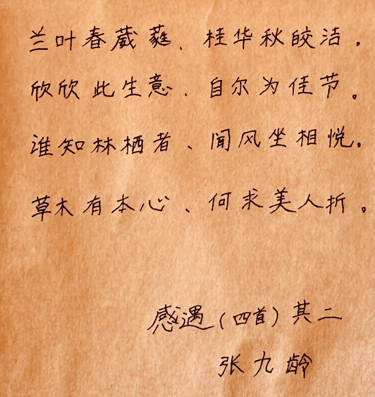 漢詩がつまらないのは、日本語で読んでいたから?【唐诗三百首 漢詩がつまらないのは、日本語で読んでいたから?【唐诗三百首