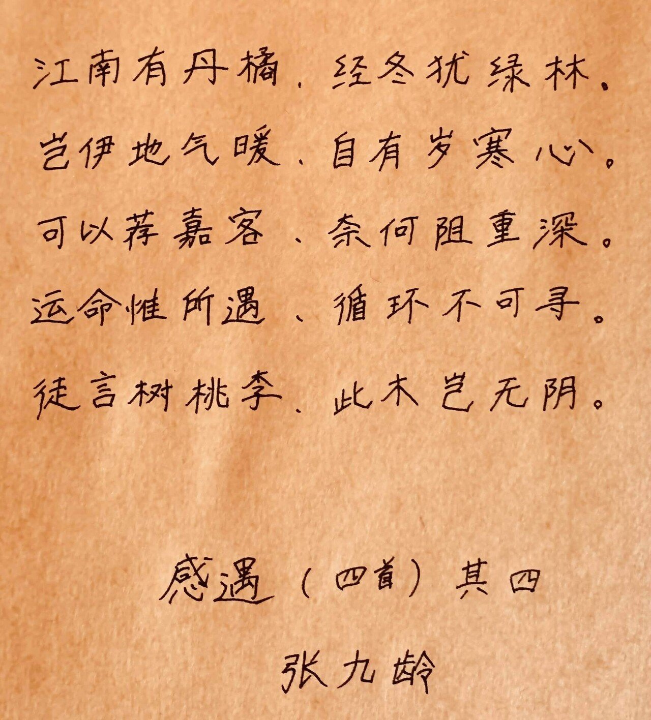 服部擔風漢詩幅 五言絶句 | 山星書店 初版本 和本 古地図 史料他