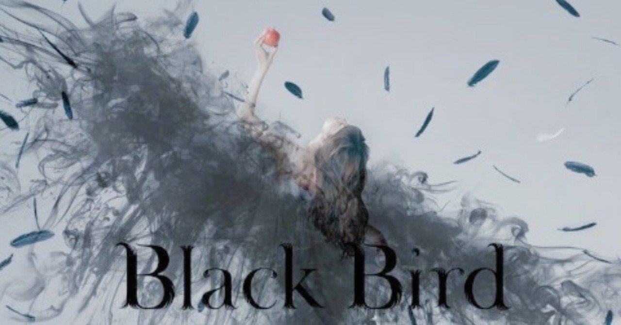 Aimerの「声」、その深遠なる可能性を信じよう｜松本 侃士