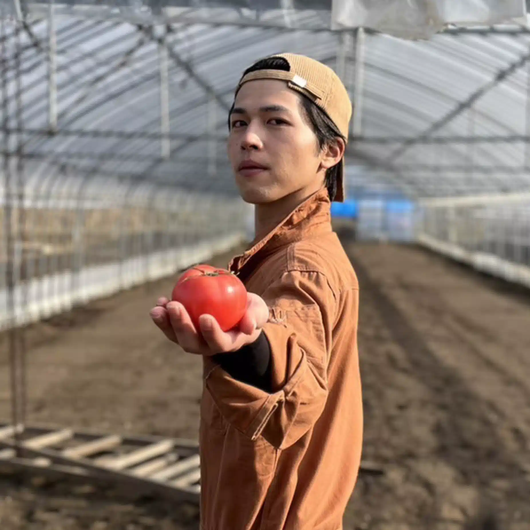 ホスト農家　ホストマト🍅