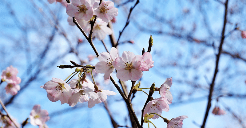 3月ふりかえり