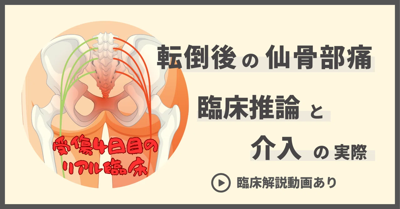 仙骨部皮膚洞 – 毛巣洞 画像 – OTZF