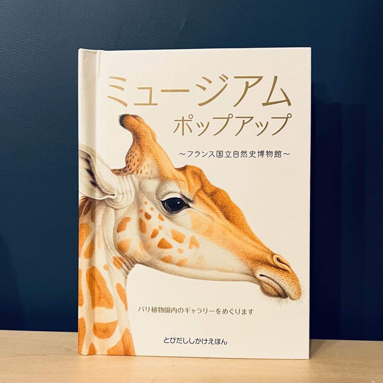 vol.98 ミュージアムポップアップ：フランス国立自然史博物館