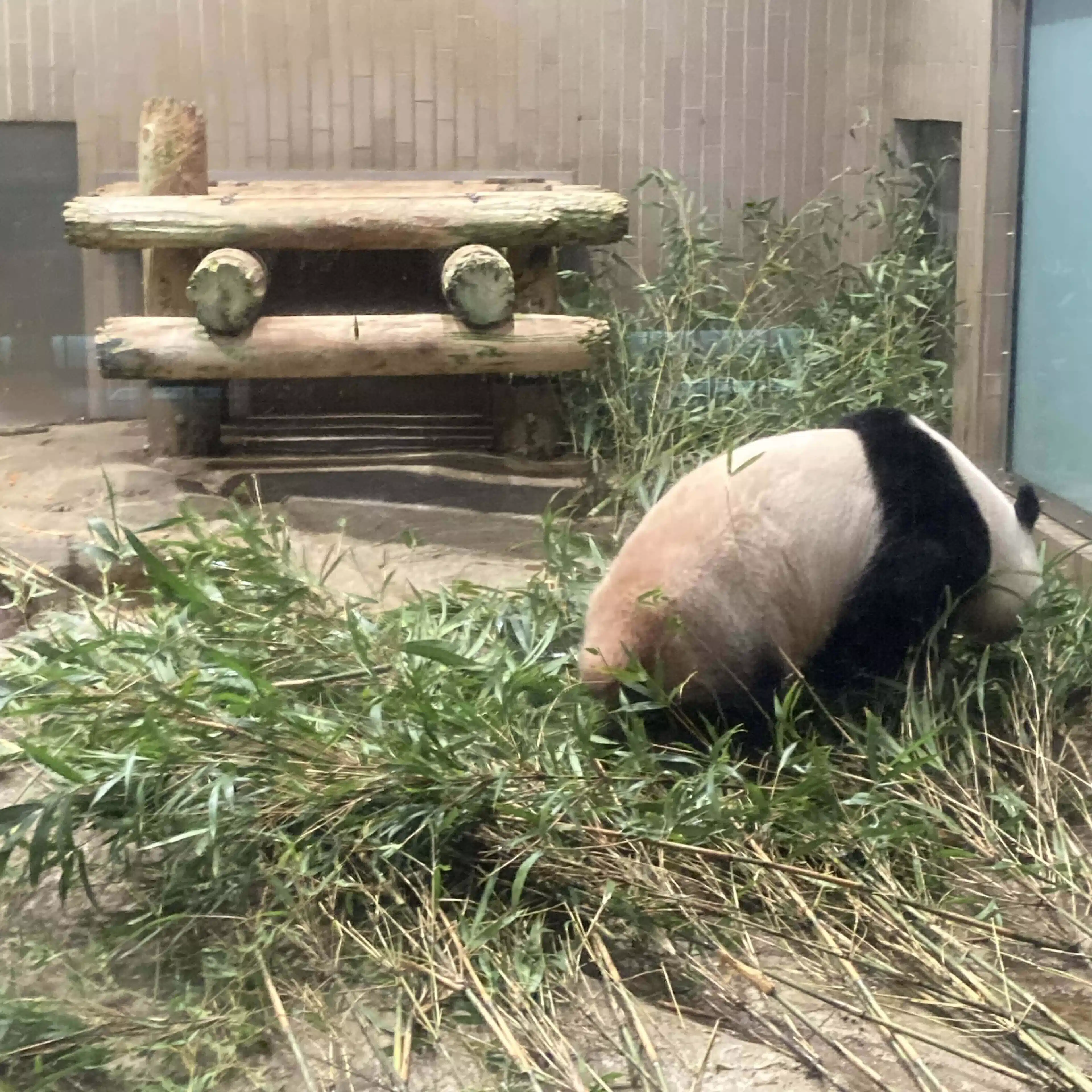 ぎよえん