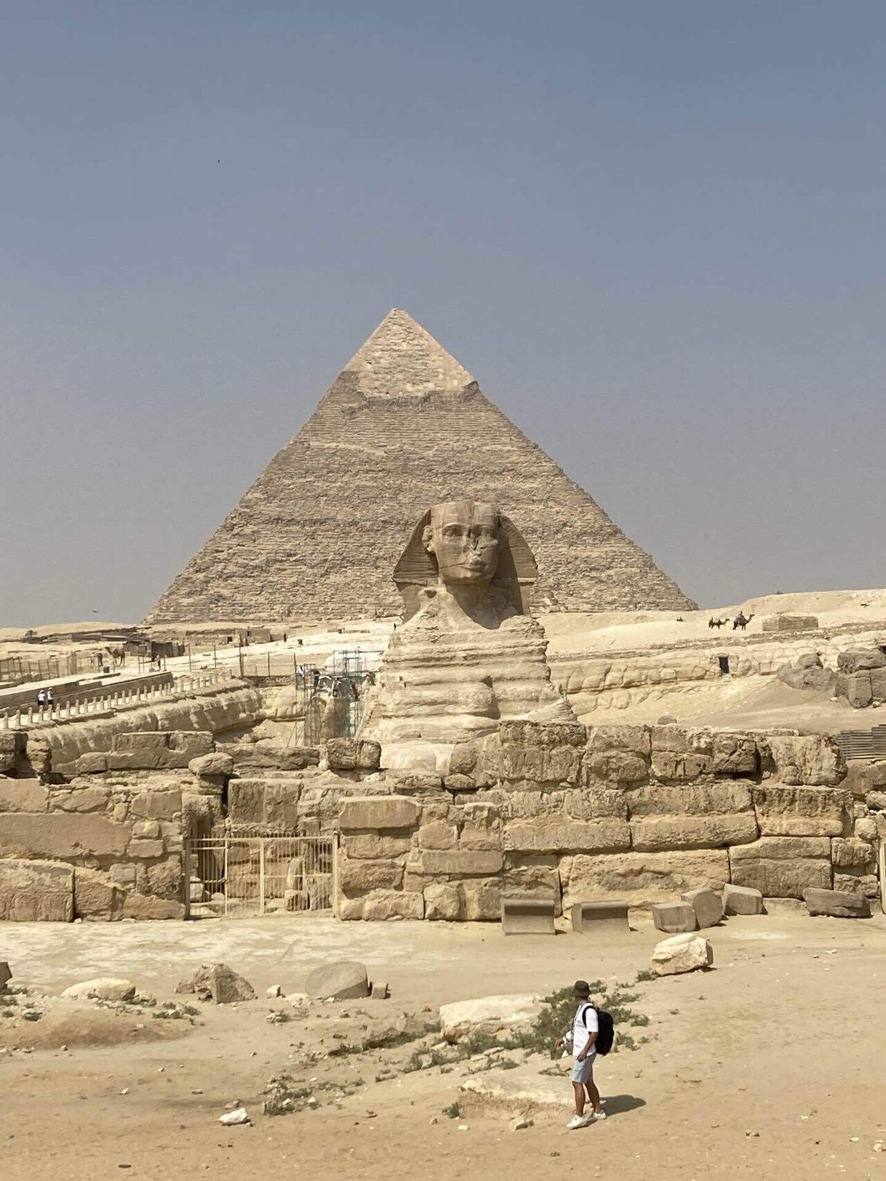 観光②ギザ〜ダフシュール】ピラミッドとスフィンクスと私｜Warda