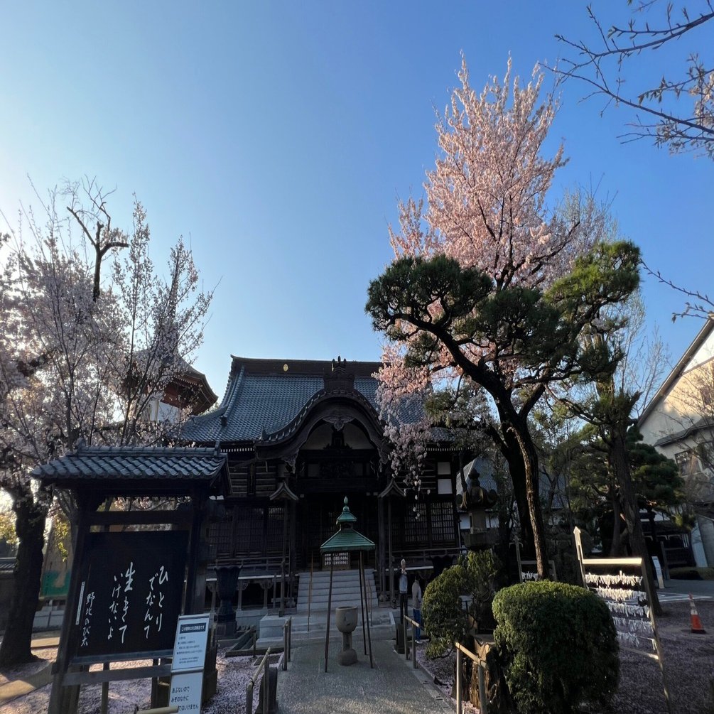 祐天寺」を知る桜の朝時間｜祐天寺駅周辺の魅力を発信する会【公式note】