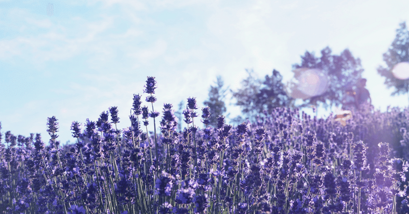 無料スピリチュアルアロマセミナーの先にあるもの