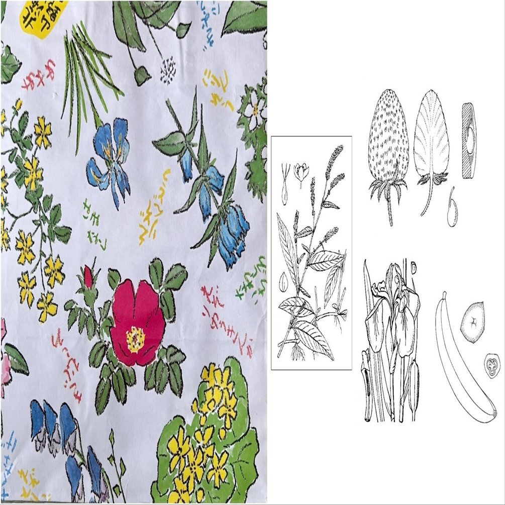 直行と富太郎と帯広のお菓子屋さん｜快技庵 高橋政明