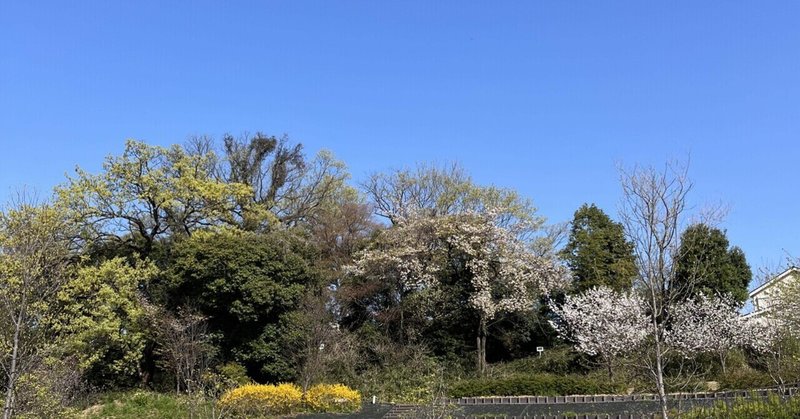 道端の花や鶯の鳴き声に気付けることが、どれだけ幸せかってこと