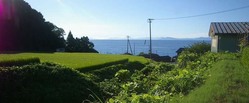 トキ野生復帰は不要では と思ってる方に知って頂きたい３つの事 あらきやすし Note