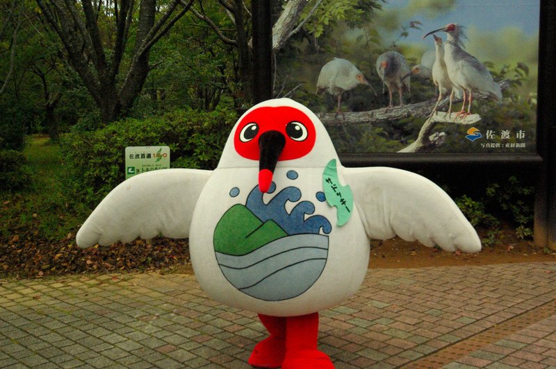 トキ野生復帰は不要では と思ってる方に知って頂きたい３つの事 あらきやすし Note