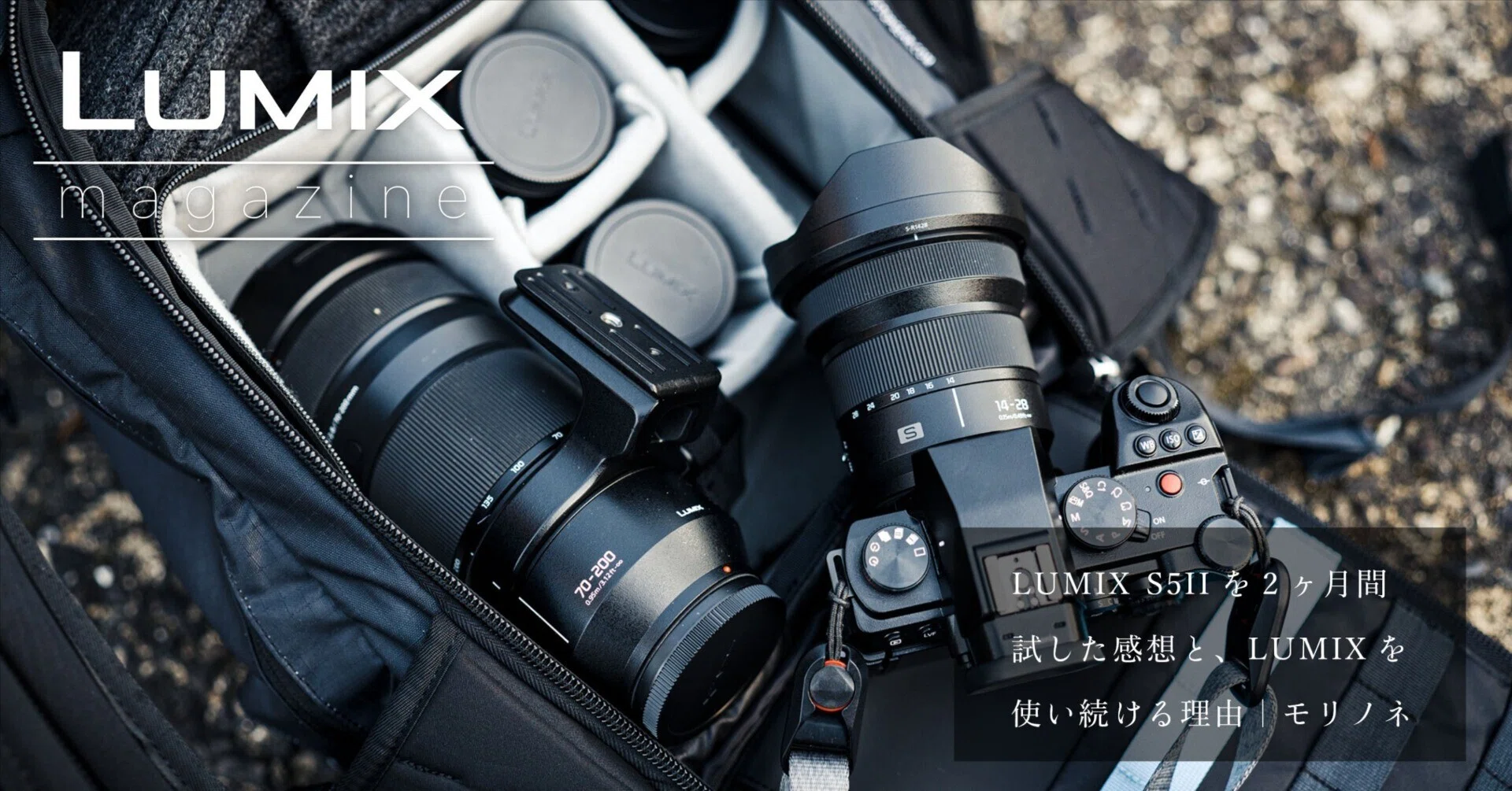 LUMIX S5IIを2ヶ月間試した感想と、LUMIXを使い続ける理由｜モリノネ