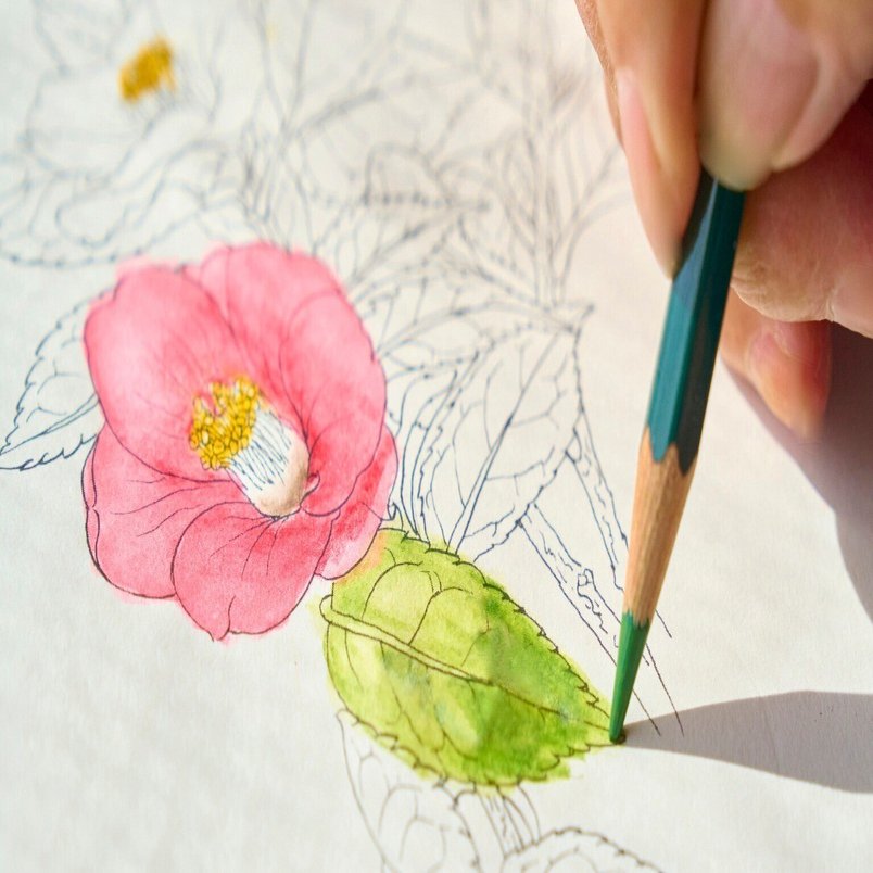 楽しい花のぬり絵