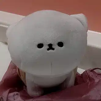 しんたろ