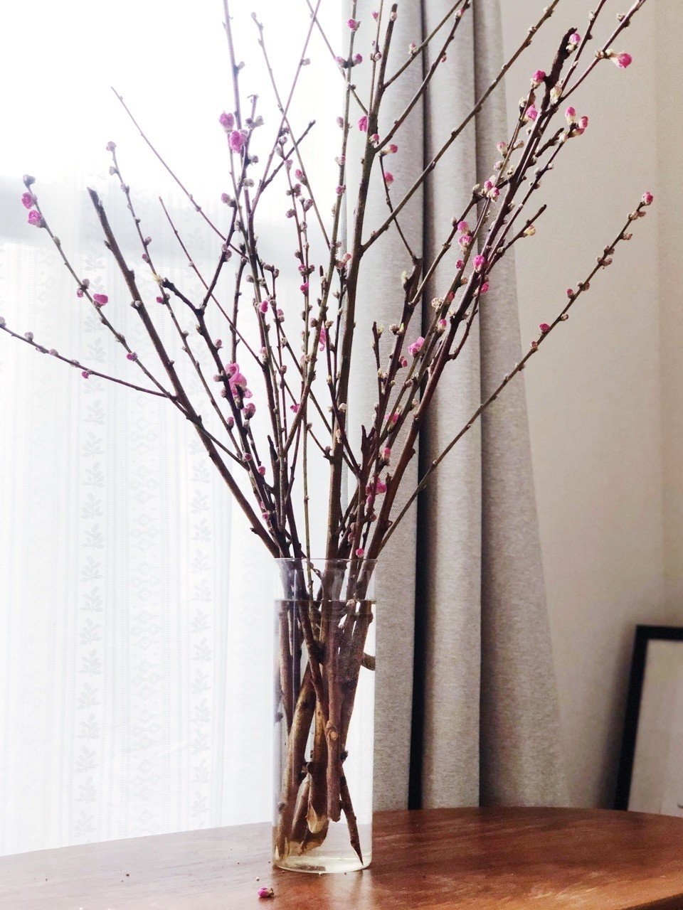 花と器 Feb 1 桃 枝ものをいける カナエナカ Note