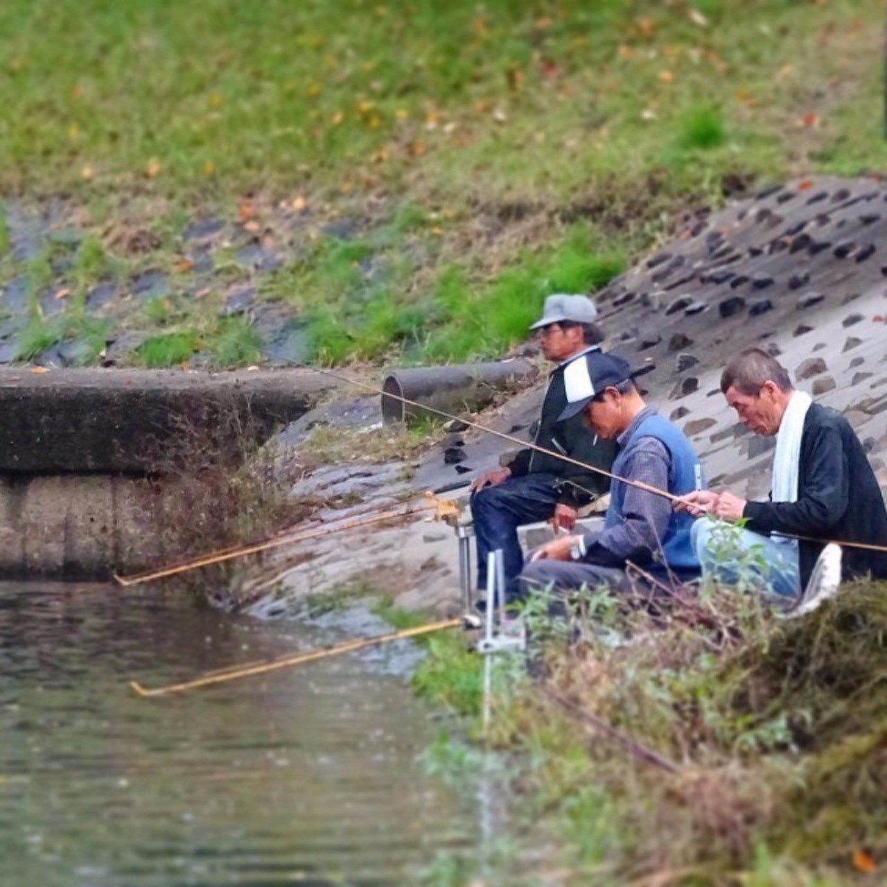 貧者に魚を与えるな 魚の釣り方を教えよ まるさん 起業後援家 Note