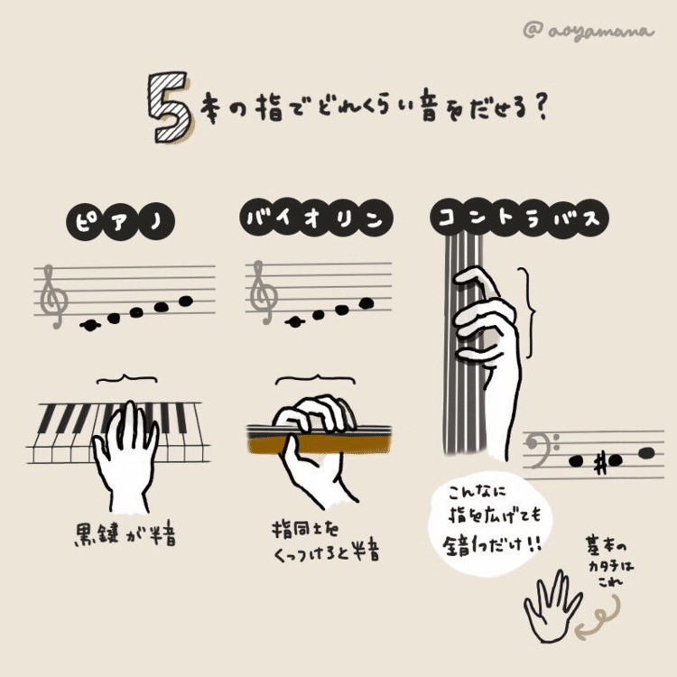 手を固定したまま、5本の指でどれくらい音をだせるかな？ピアノは5音、バイオリンは4音。コントラバスはこれだけ指を広げても、1音だけ。左手が右手よりも広がるようになってしまったベース弾きさんも多いと思います。