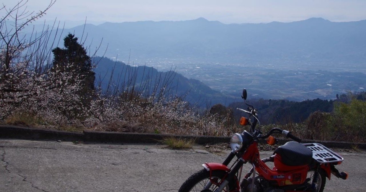 和泉山脈 梅の花 フランキー Note