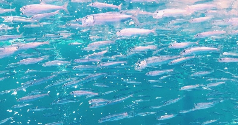 想像することで予防線を張る もりも note