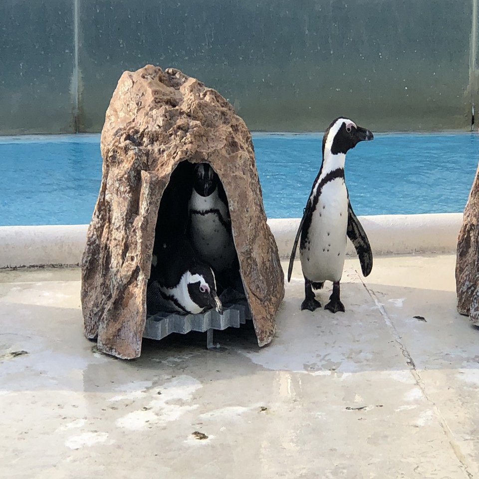 志摩マリンランドに行ってきたよ｜さんしょぐま